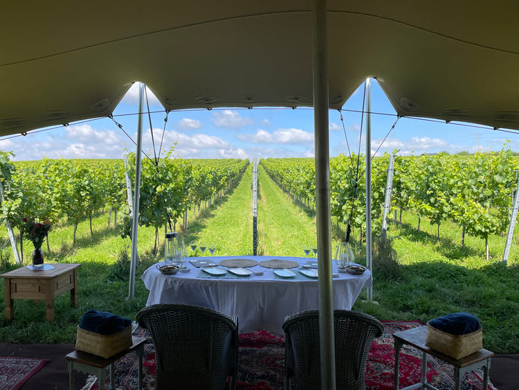 Vineyard Tours & Minerva Wine