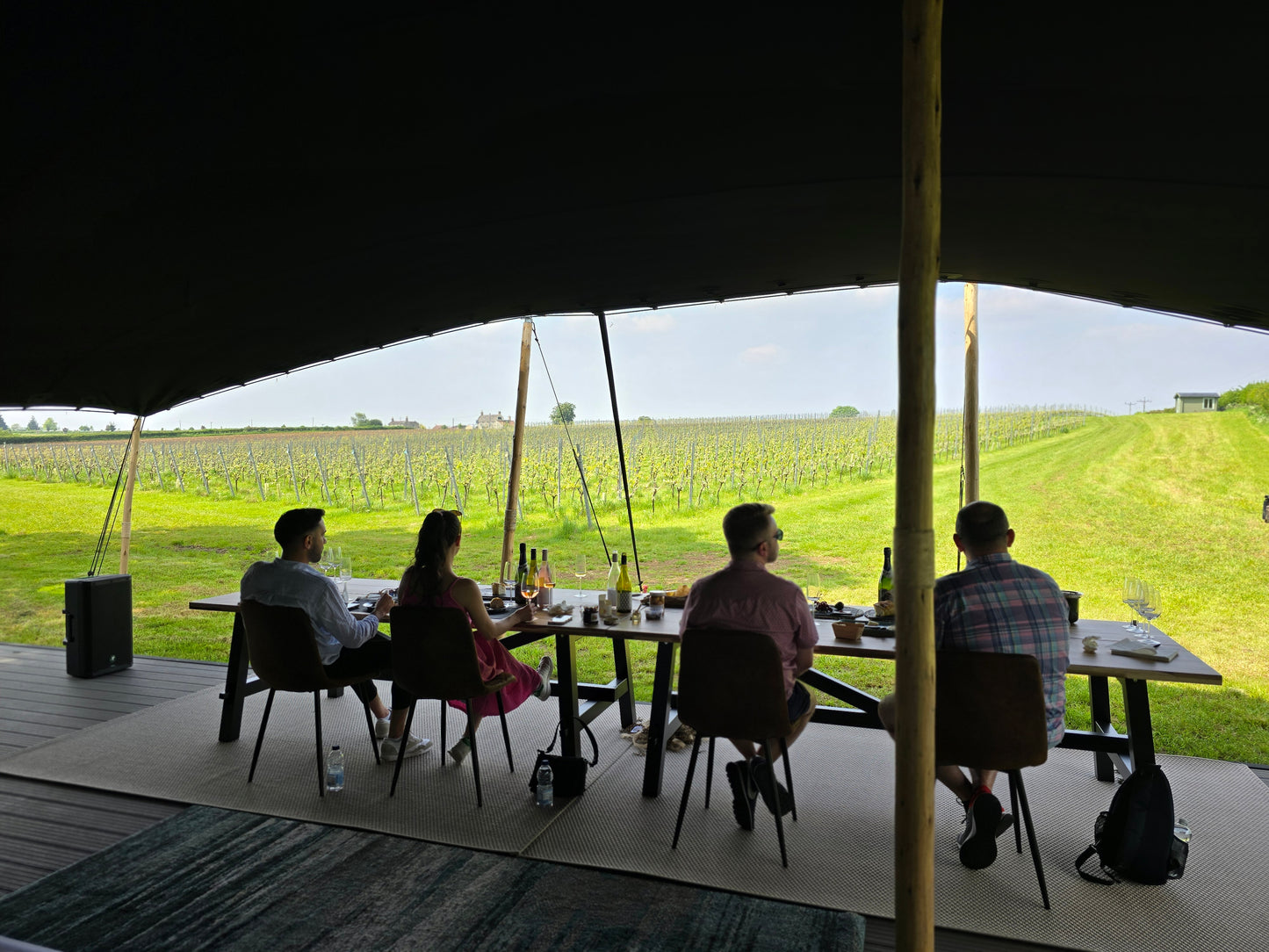 🍇✨ Minerva Immersive Vineyard Tour & World first Sound & Food Pairing