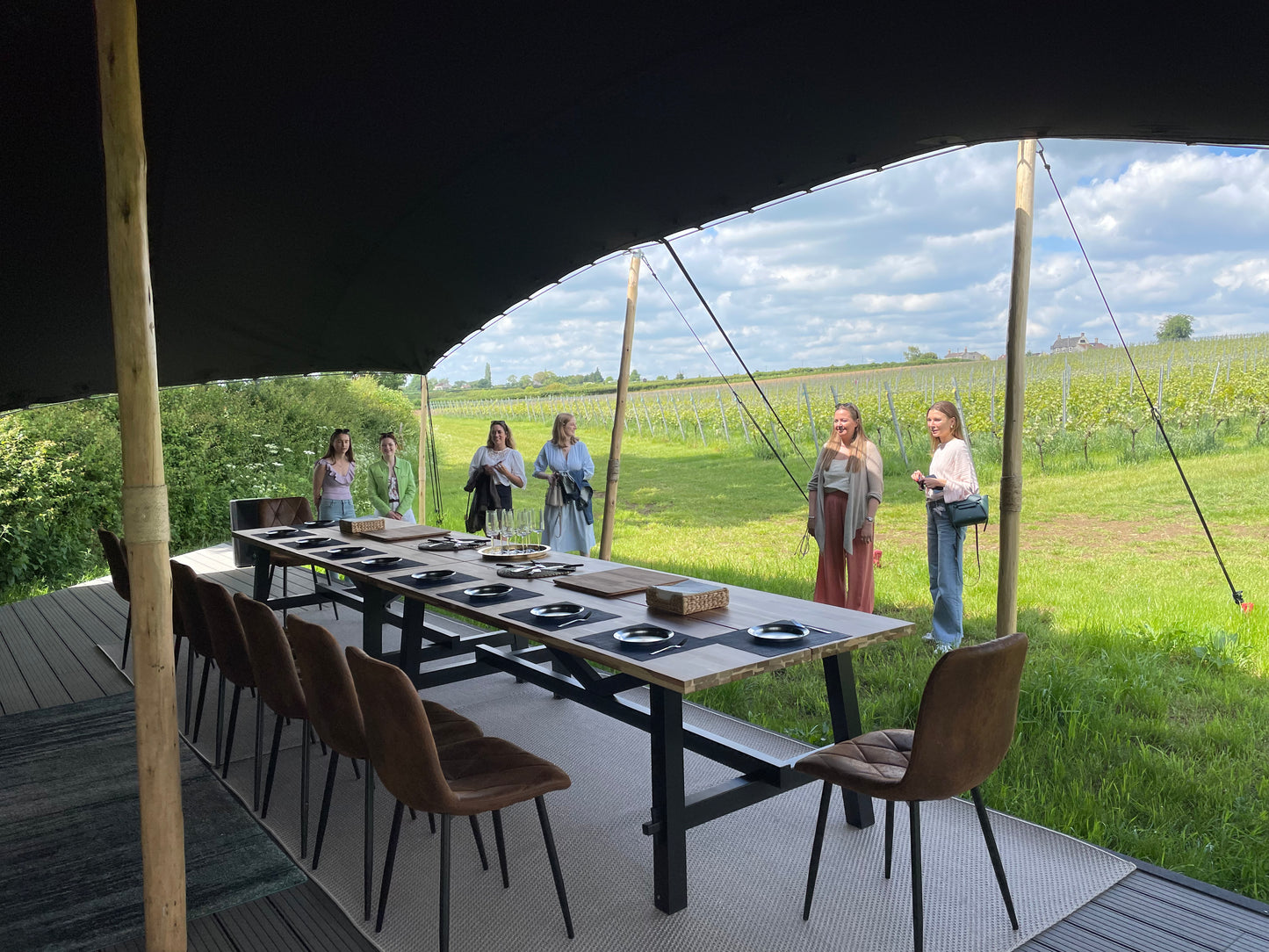 🍇✨ Minerva Immersive Vineyard Tour & World first Sound & Food Pairing