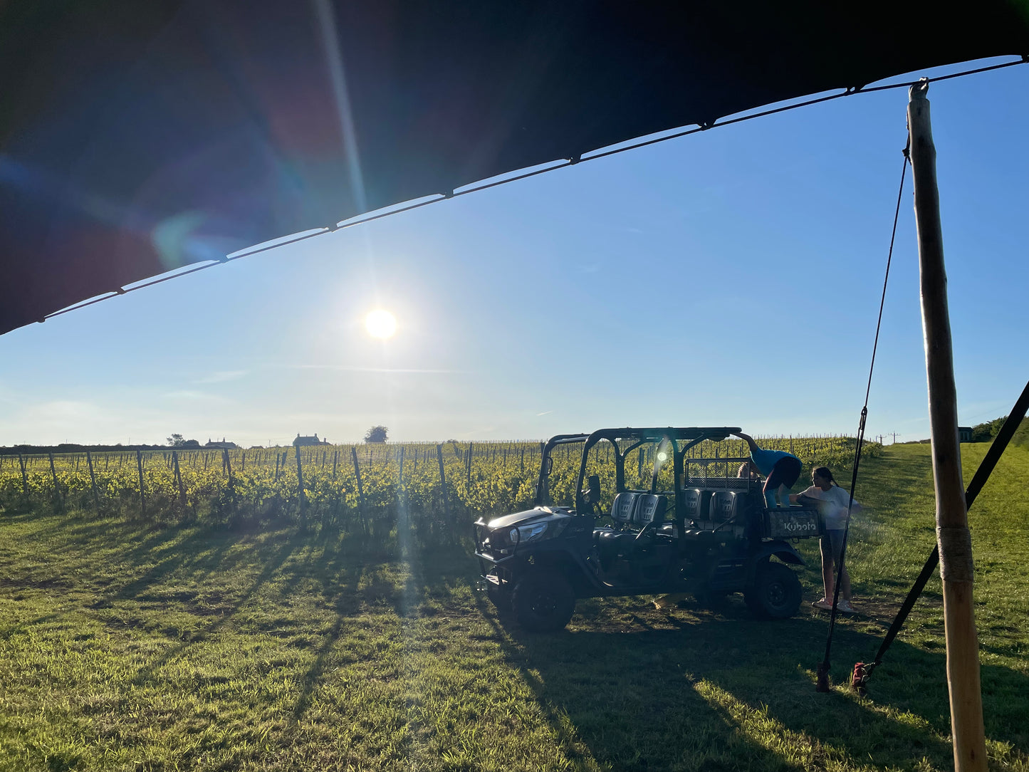 🍇✨ Minerva Immersive Vineyard Tour & World first Sound & Food Pairing