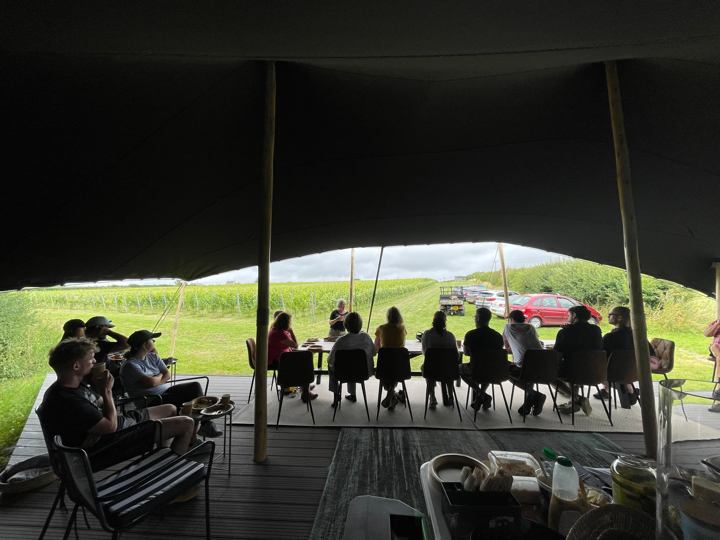 🍇✨ Minerva Immersive Vineyard Tour & World first Sound & Food Pairing